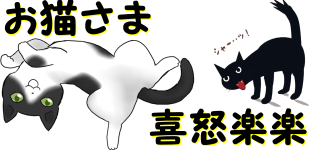 うちのお猫さまのイメージ