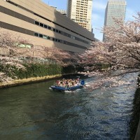 目黒川クルーズ